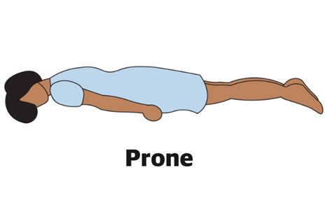 prone definitions.